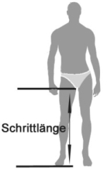 Rahmenrechner Schrittlänge